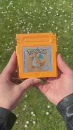 Étui de rangement pour jeux Nintendo Dracolosse