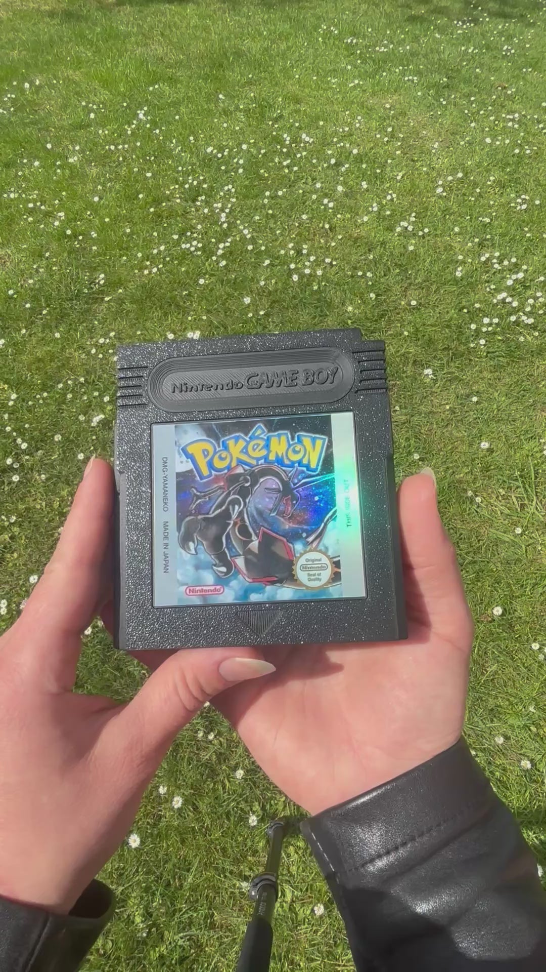 Étui de rangement pour jeux Switch Rayquaza Shiny