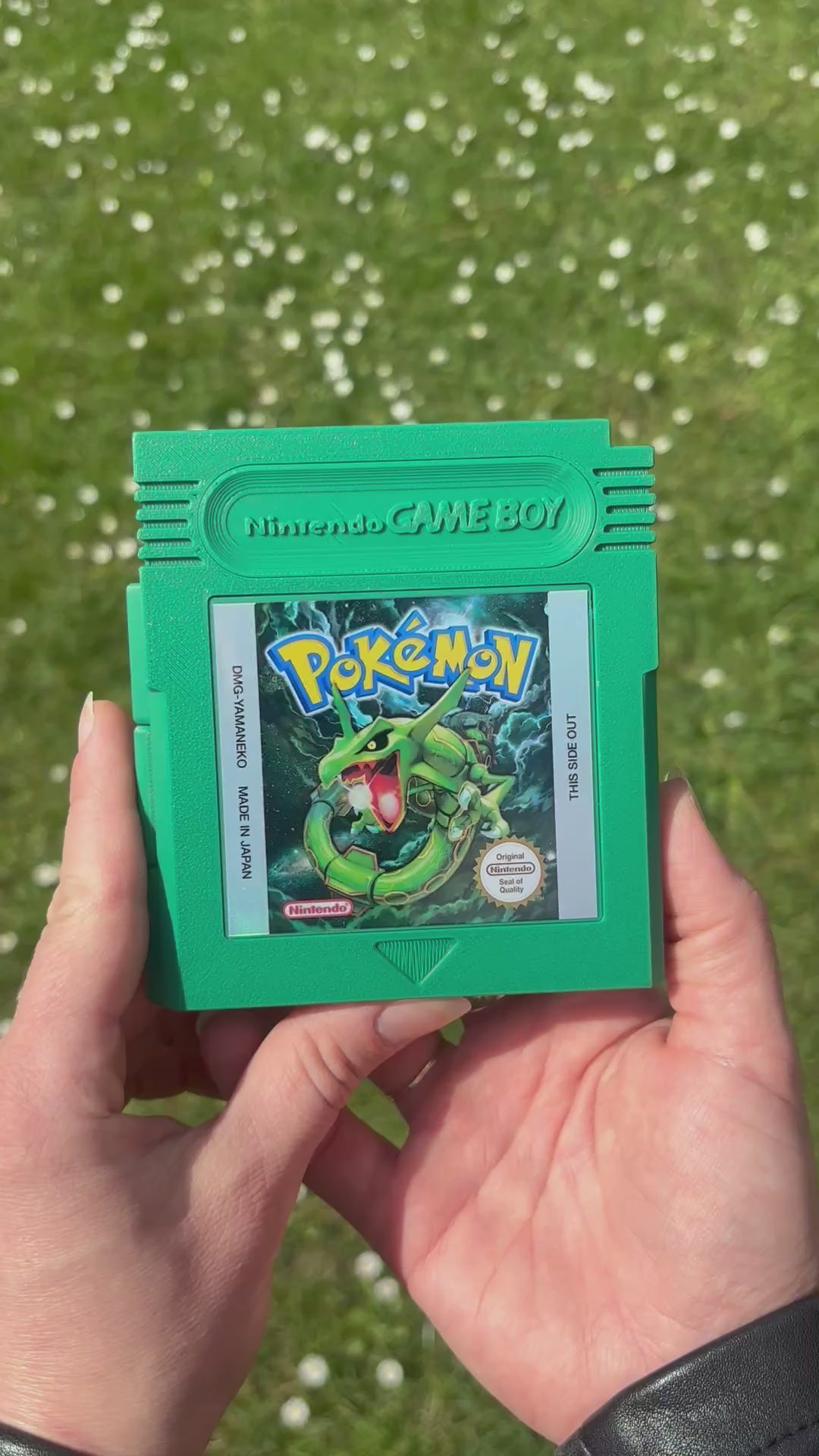 Étui de rangement pour jeux Switch Rayquaza